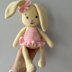 Cute Bunny Rabbit