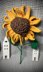 Sonja die Sonnenblume - Blumenkind Wendepuppe #007