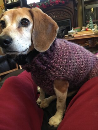 Dog Sweater