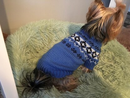 Yoke Dog Sweater