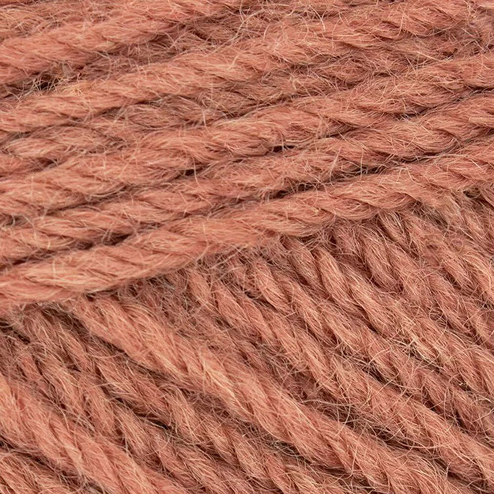 Chrysanthemum (1289)