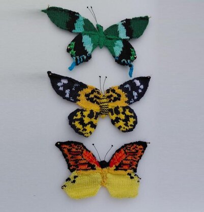 Exotic butterflies