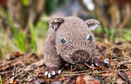 Australian Wombat