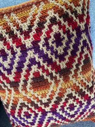 Global Pathways Cushion