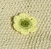 100 Flowers to Knit and Crochet