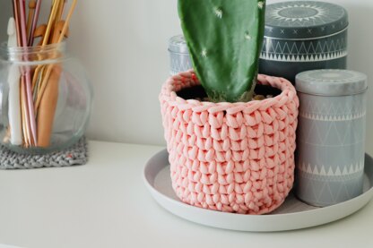 The Cactus Cozy