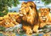 Grafitec Lion Family Tapestry Kit - 50cm x 70cm
