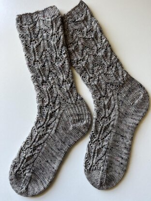 Tillandsia Socks.