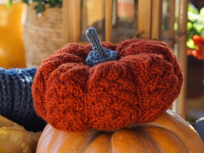 Knitting Pumpkin