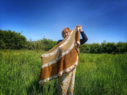 Tell it to the Bees Shawl