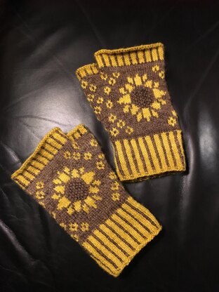 Helianthus Mitts