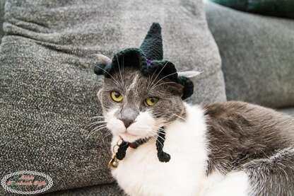 Cat's Witch Hat