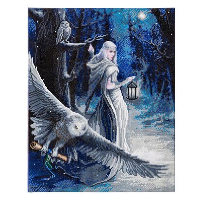 Crystal Art Midnight Messenger, 40x50cm Diamond Painting Kit