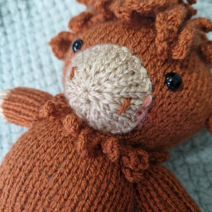 Harry the Heeland Coo