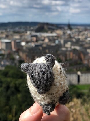 IceCube goes to Edinburgh