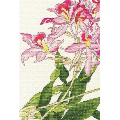 Bothy Threads Orchid Blooms Cross Stitch Kit - 36 x 24cm