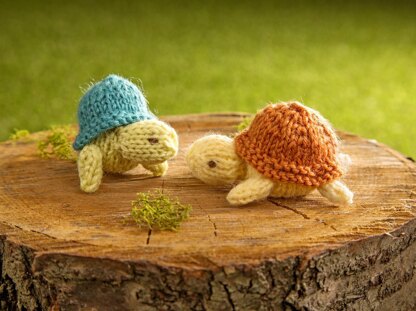 Turtle Family