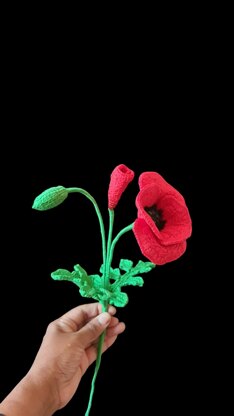 Crochet Poppy flowers