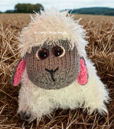 Barnaby Choc Orange Cosy/Softie