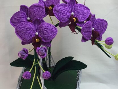 Moth Orchid Crochet Pattern