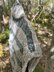 Trail Blazer Vest