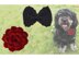Crochet Pattern Bow Tie or Rose for your Dog!