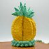 Pineapple Slices Coaster Set