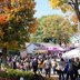 18th Annual Rhinebeck Road Trip - Fall 2025