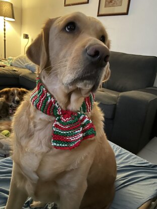 Charming Christmas Pet Scarf