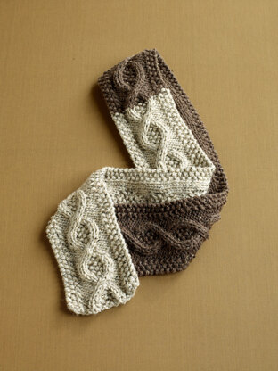 Covetable Cable Scarf in Lion Brand Vanna's Choice - 90292AD