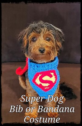 Super Pet Costume