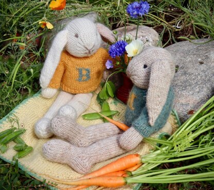 Alphabet Sweater for toy