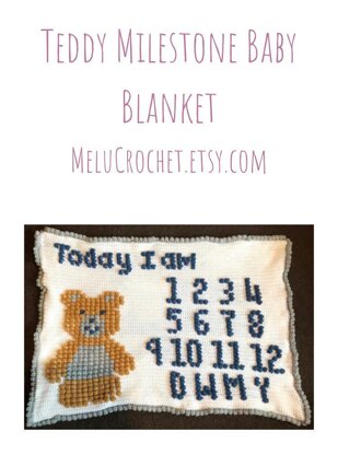 Teddy Milestone Blanket