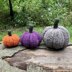 Pumpkin Patch Family [crochet]