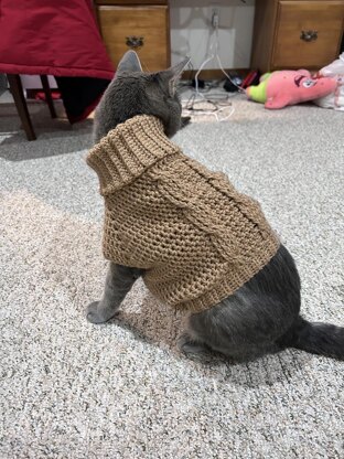 Easy cable pet sweater