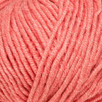 Blush (11219)