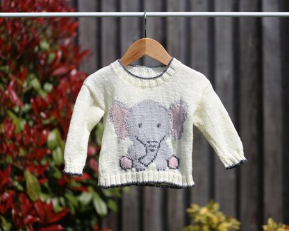 P49 Albie the Elephant Jumper/Sweater