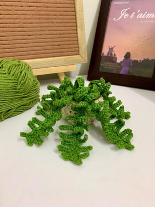 Fern Plant Car Hanging