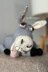 Donkey knitting pattern. Knitted donkey friend Shrek