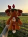 Forest Mountain Monster | Crochet Pattern | Mysterious creature with mushrooms on its head