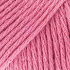Tea Rose (CW210)