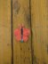 Butterfly Hair clip english-us