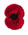 Remembrance Poppy