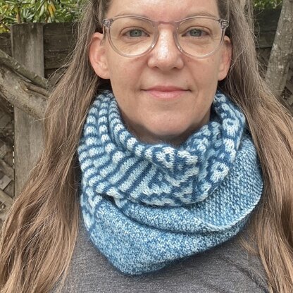 Dual Dualities Cowl