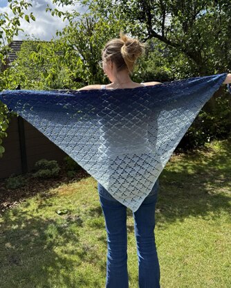 Delta Shawl