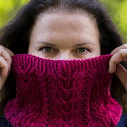 Winterberry Cowl