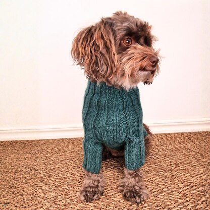 Cozy Canine Rib-Knit