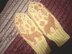 Knit Wolf Mittens