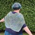 Amy March Shawl