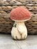 Small funny mushroom